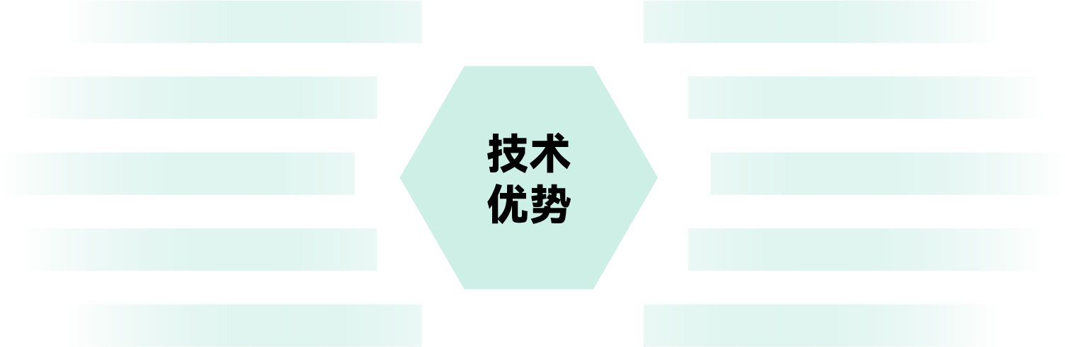 技术优势
